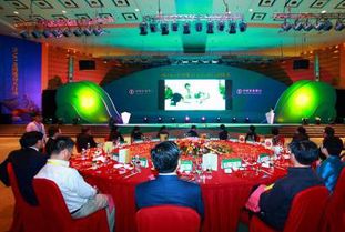 廣西專業婚慶策劃主持哪家好？非凡婚慶活動策劃全方位解析